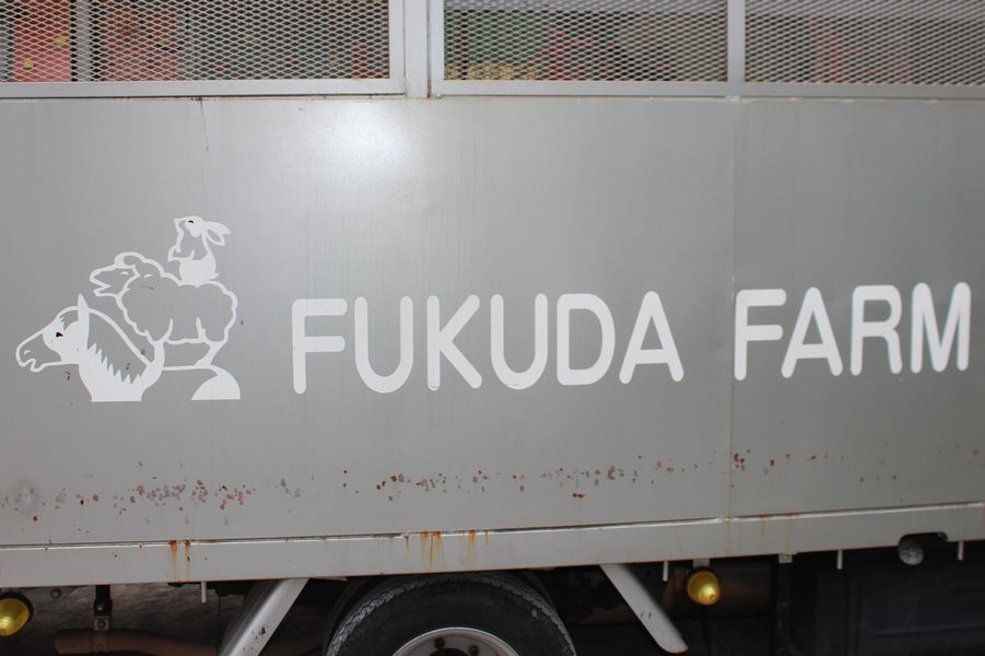 年長組『スペシャルデイ』の様子