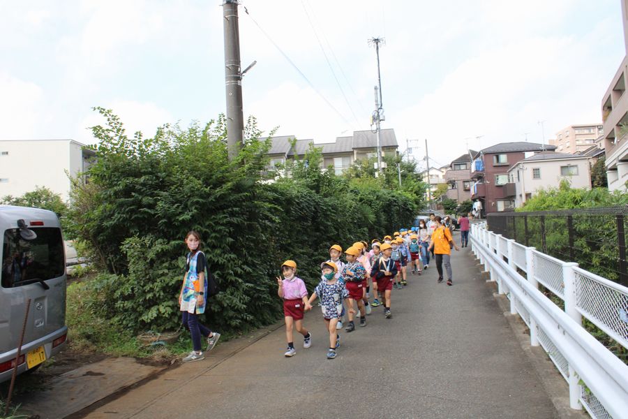 年長組『芋掘り』の様子