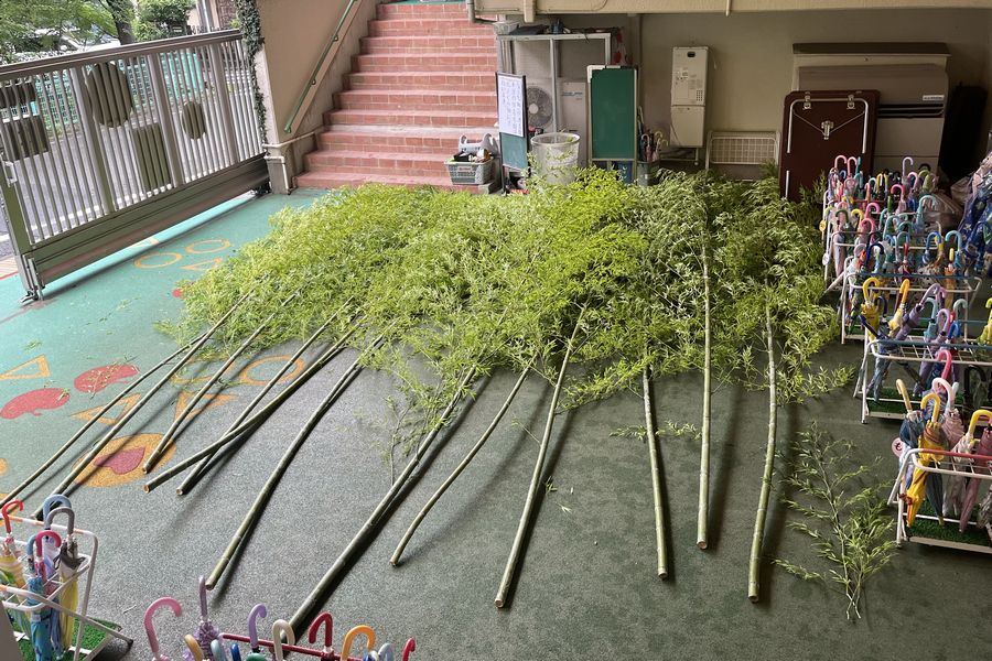 七夕用の笹竹が届いた時の様子