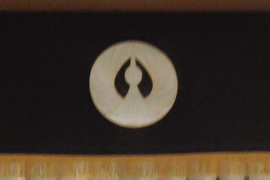 年長組『鷺沼小学校訪問』の様子