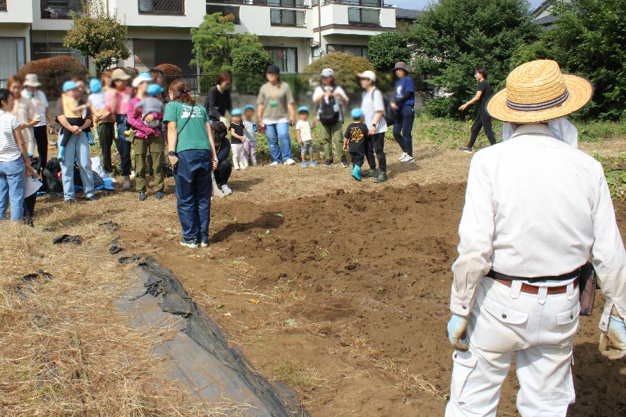 満三歳児クラスぞう組『親子いもほり』の様子