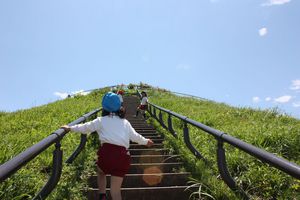 年長組川和富士公園草あそび