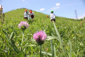 10051411.IMG_3254.JPGのサムネール画像