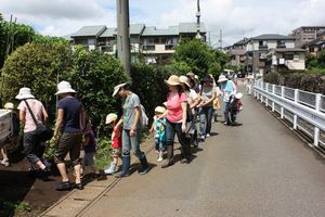 年少組親子じゃがいも掘り
