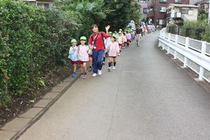 年長組 芋掘りの様子