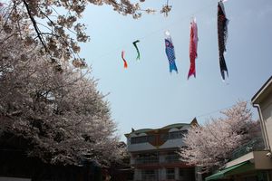 年長組お世話係の様子