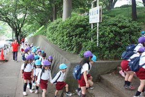 園外保育の様子