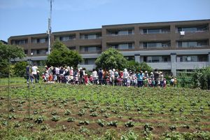じゃがいも1.JPG