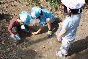 年少組 どんぐり拾いの様子