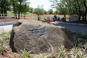 年長組園外保育「草あそび」 の様子