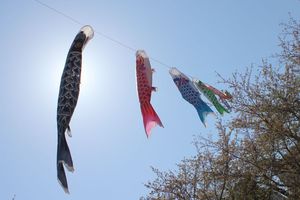 年長組 お世話係の様子