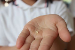 年長組 クッキングの様子