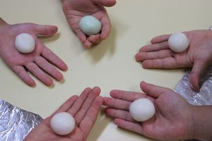 年中組 お月見パーティーの様子