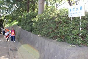 年少組・年長組 園外保育 鷺沼公園ドングリ拾いの様子