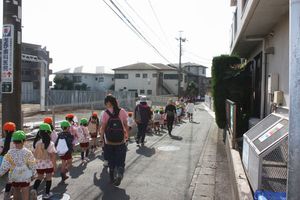 年長組 サツマイモ掘りの様子