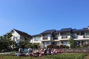 年中組 サツマイモ掘りの様子