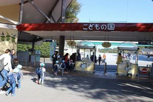 年少組 秋の遠足「こどもの国」の様子