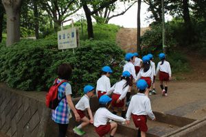 IMG_0398.JPG
