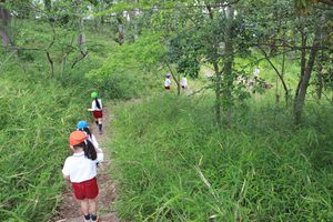 IMG_0421.JPG
