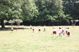 IMG_8666.JPG