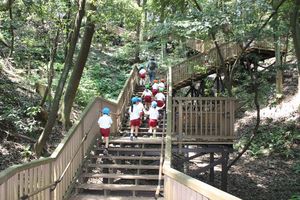 IMG_8675.JPG