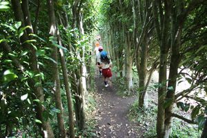 IMG_8681.JPG