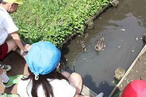 IMG_86911.JPG