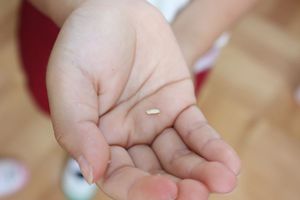 IMG_8716.JPGのサムネイル画像