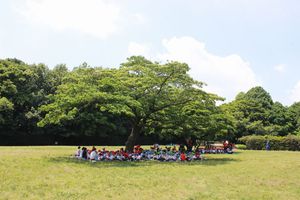 年中組・年長組 春の遠足「東高根森林公園」の様子