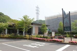 年中組・年長組 春の遠足「東高根森林公園」の様子