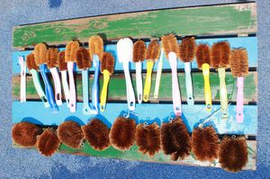 年長組「上靴洗い体験」の様子