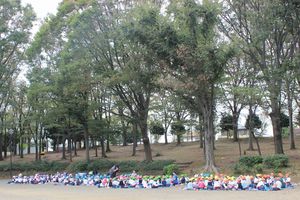 IMG_3272.JPGのサムネイル画像