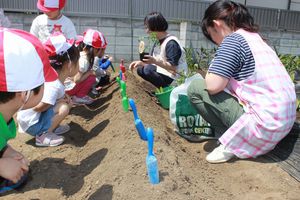 さぎぬまプレイルームくま組「夏野菜の苗の植え付け」の様子