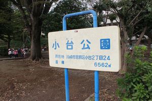 IMG6764.JPG