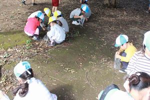 IMG_6731.JPG