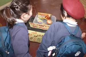 IMG_8417.JPG