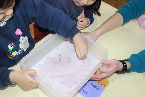 IMG_8447.JPG